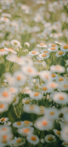 file_93065169