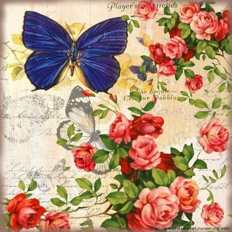 image (69) (1)