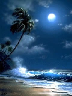 beach-night