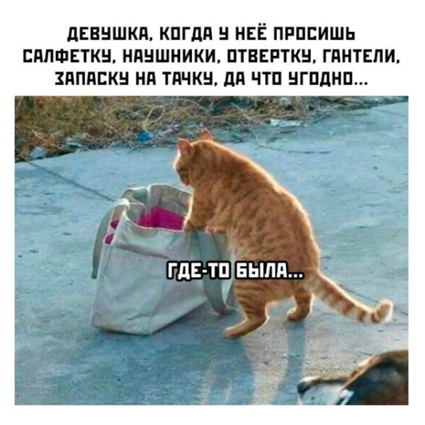 file_101270586