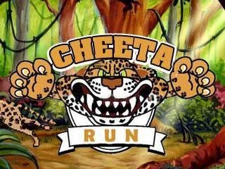 cheeta run