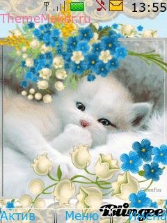 cute-kitten--nice
