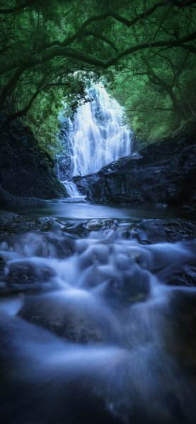 file_96666955