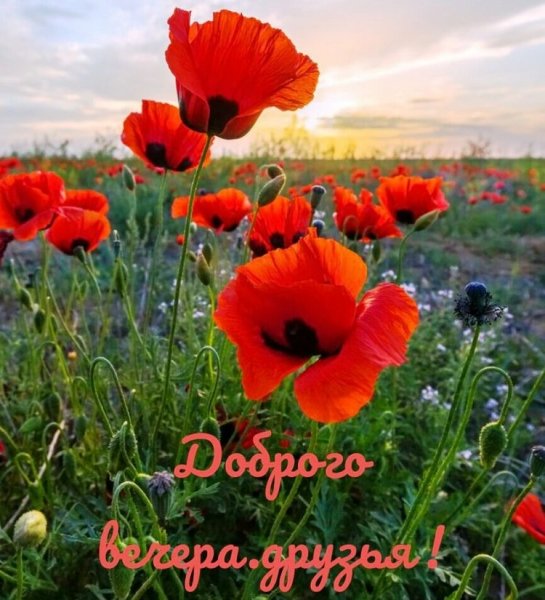 file_91197718