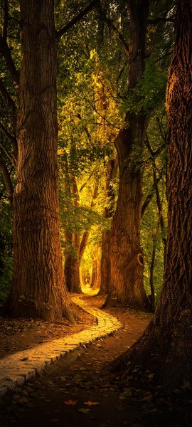 file_100883656
