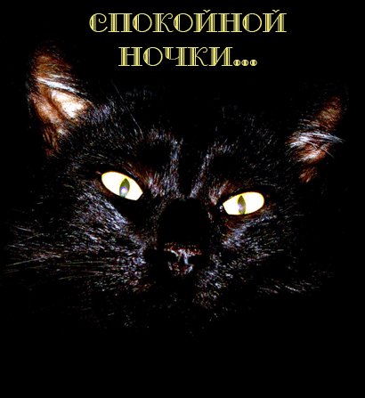 Спокойной ночи