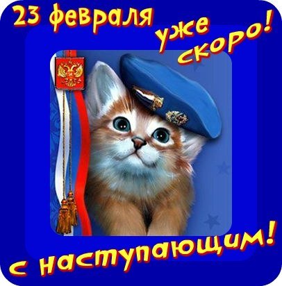 С 23 (3)