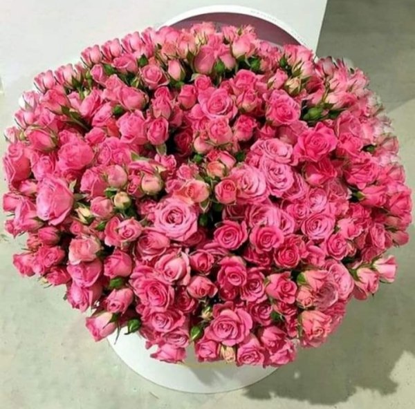 IMG 20200328 133009