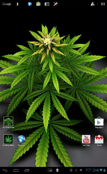 My Ganja Plant 1.02