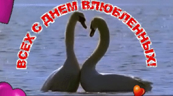 file_72467845