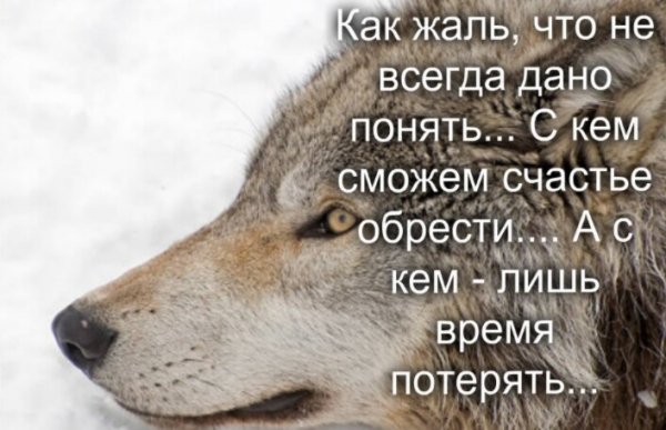 Как жаль