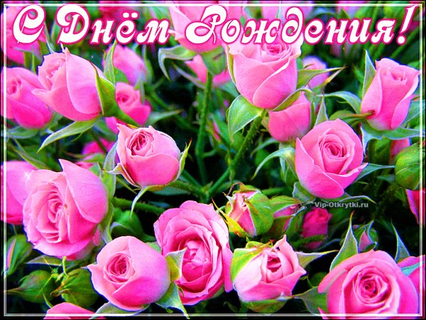blestyashaya-otkritka-s-dnem-rozhdeniya-vip-otkrytki.ru