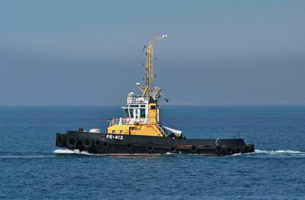 IMG viter59 114830