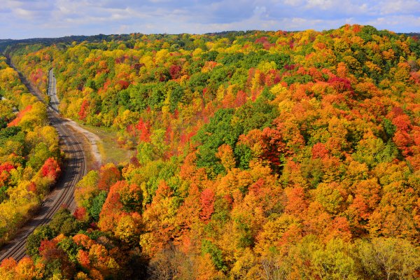 Autumn Forests Railroads 451432