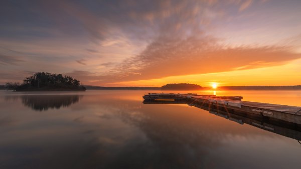 file_97153072
