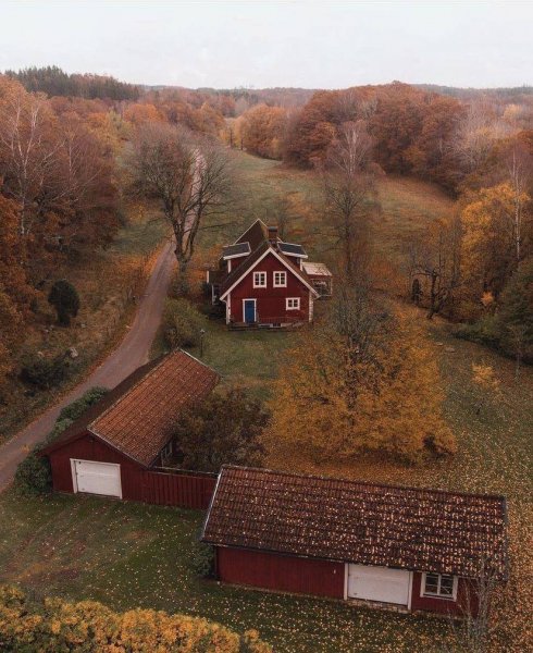 file_100900779