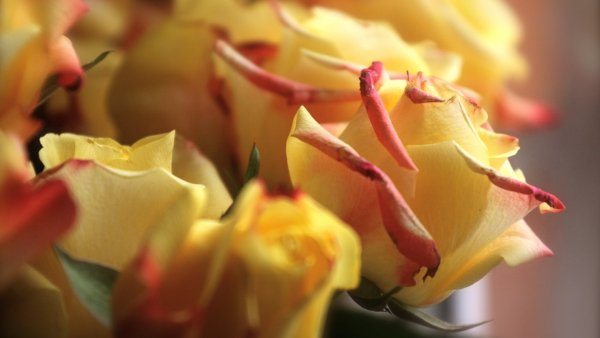 Image) (6)