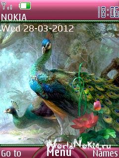 majestic-peacock tn