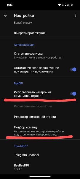 ByeByeDPI v.1.3.9 TM