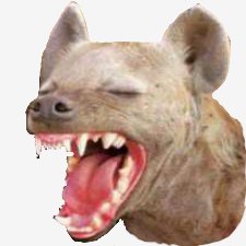 мордаГиены
