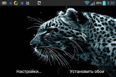 Leopard v1.1