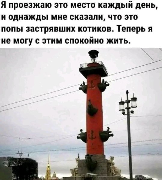file_103311451