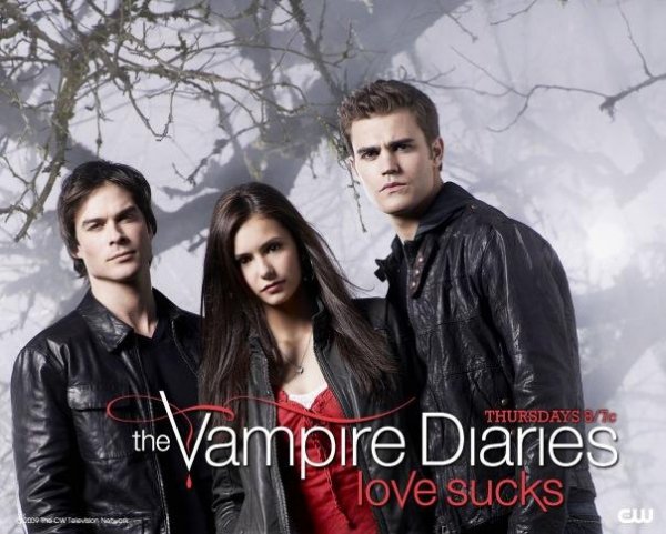 thm dnevn vamp 240320