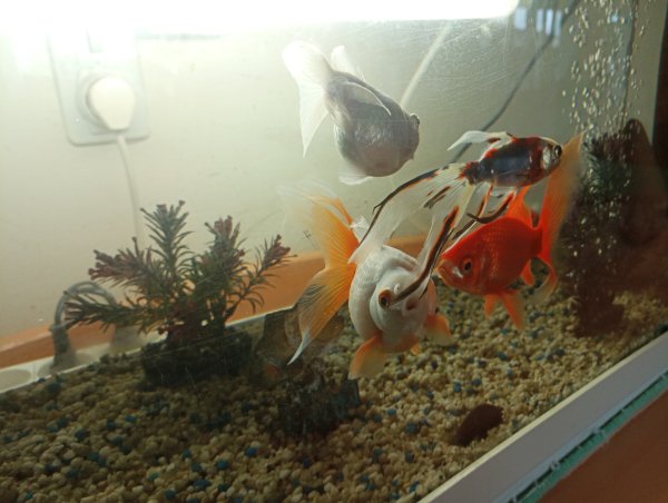 IMG 20230115 101149