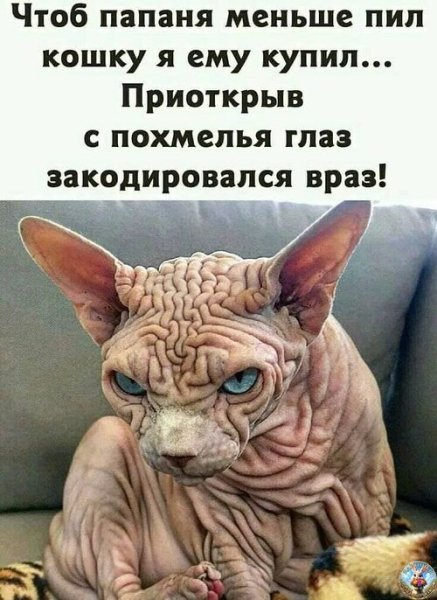 x500