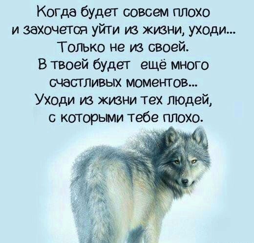 Золотые слова
