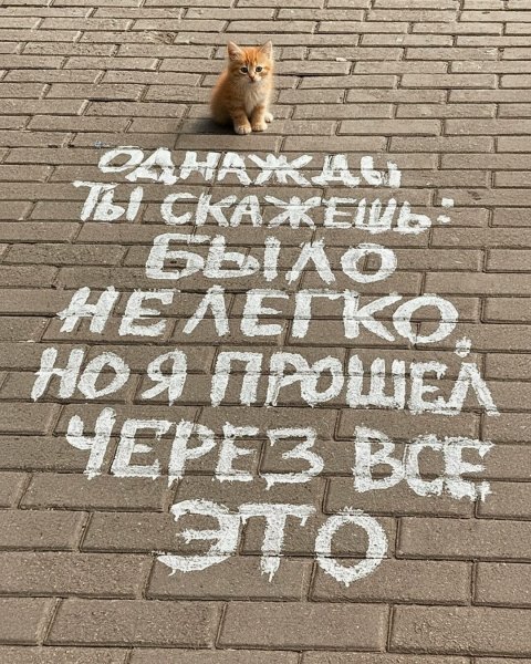 IMG 20260101 160427