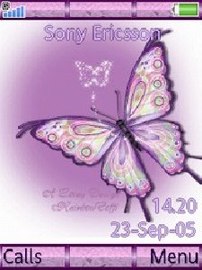 Butterfly
