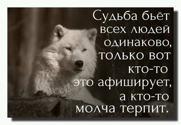 Fate