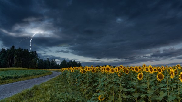 file_94635457