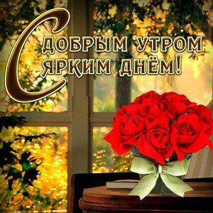 IMG 20181108 203519 909