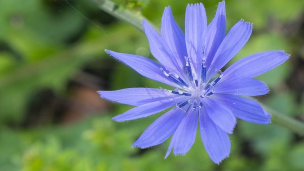 file_81388612