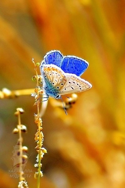 file_90208065