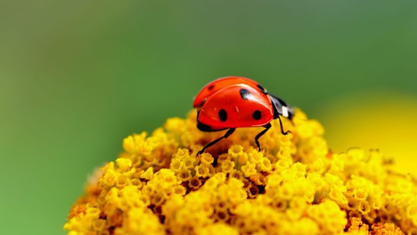 file_81791495