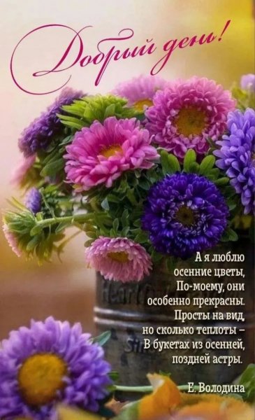 IMG 20260907 193441