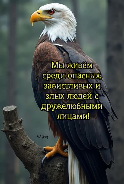 Мы живём