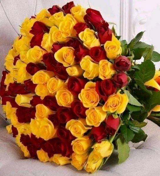 file_95827552