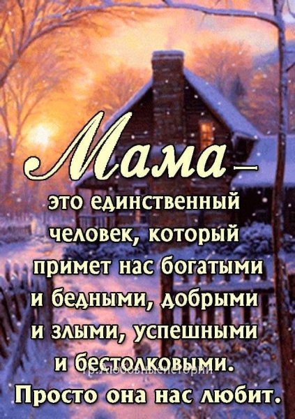 FB IMG 1668915689562