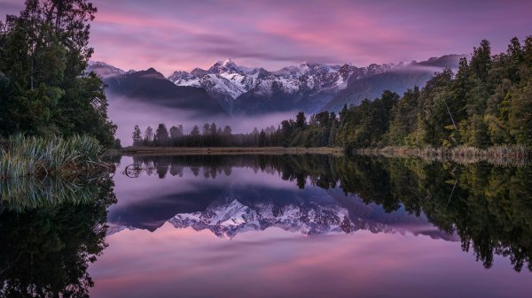 file_96380131