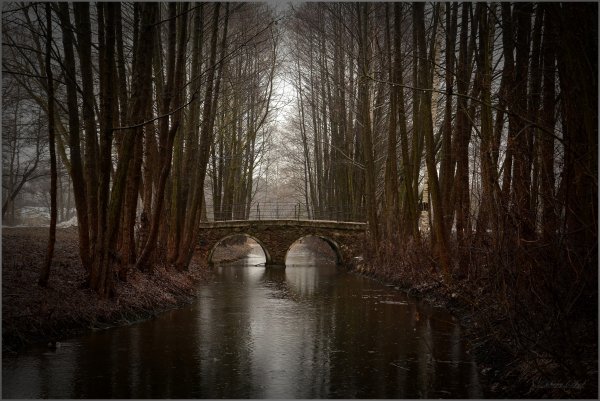 osen-most-rechka-park
