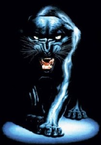 Pantera2 by AlexWolf