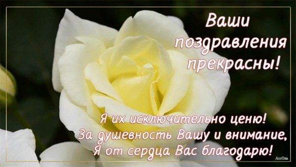 Ваши поздравления прекрасны!