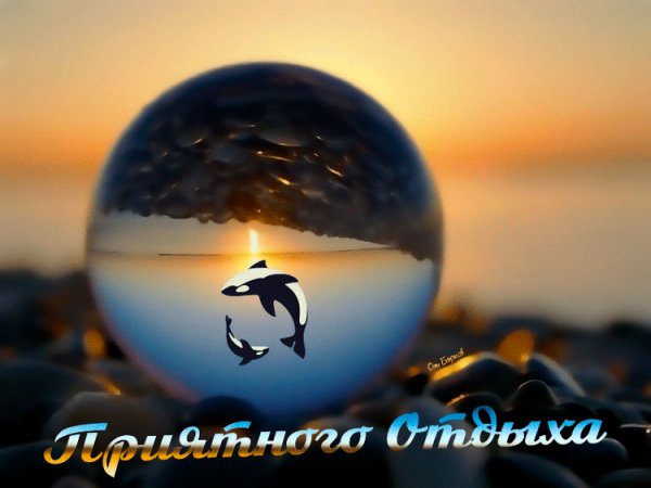 file_64091918