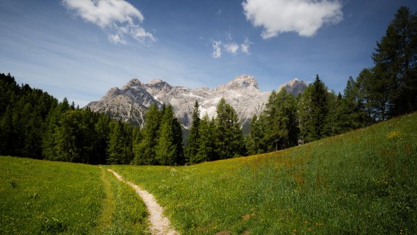 file_96753120