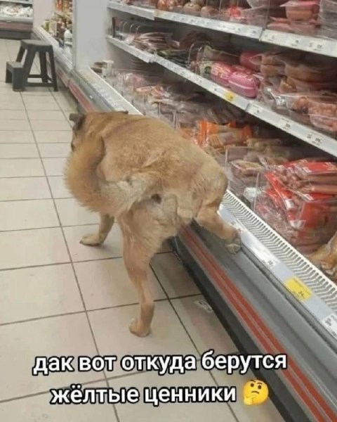 Жёлтые ценники