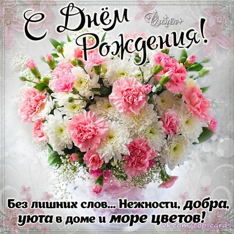 PS rJp7qKhE